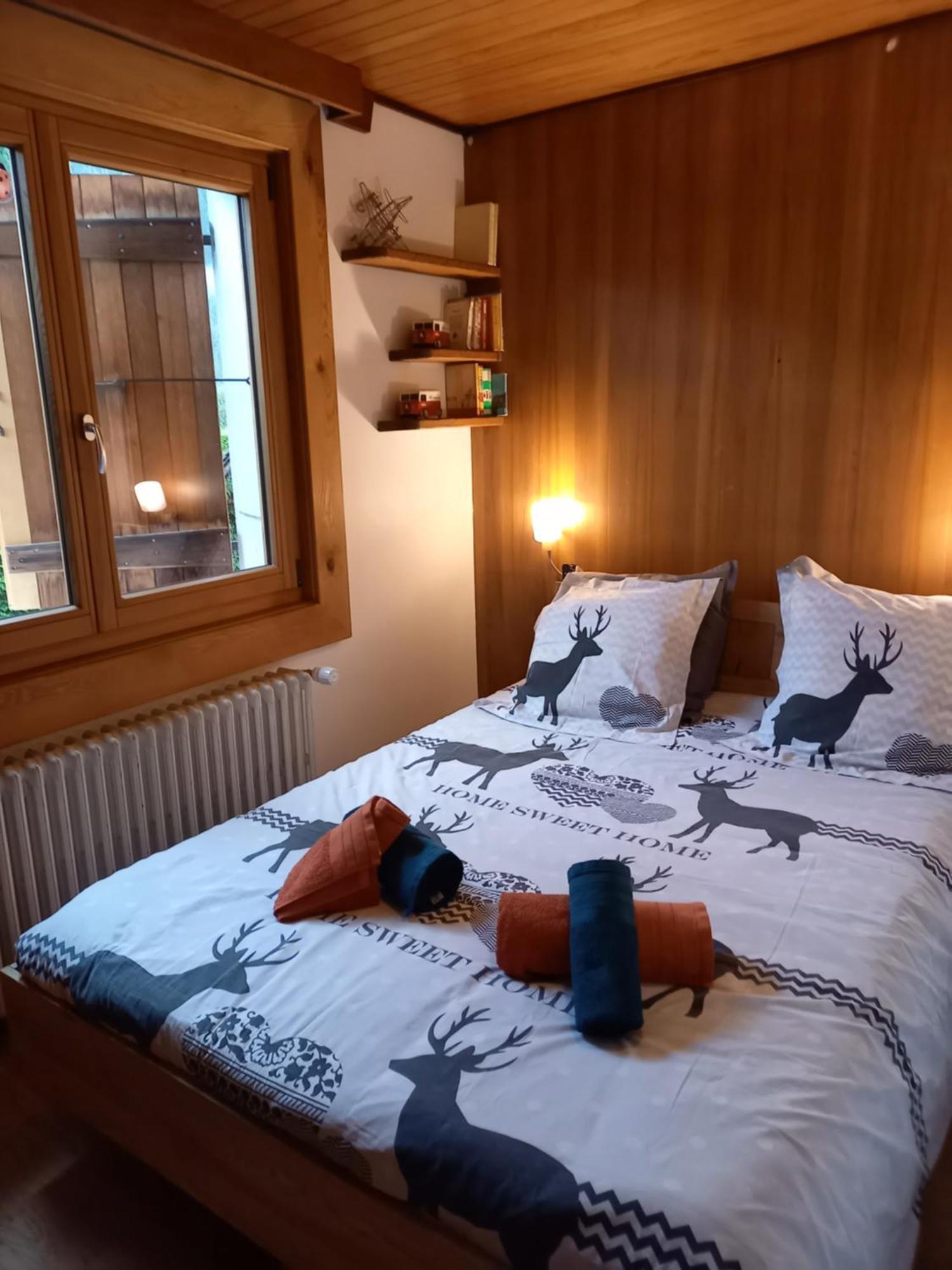 Appartement Avec Terrasse シャモニー エクステリア 写真